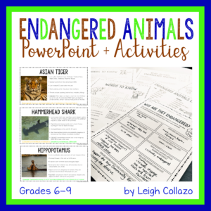 shows 3 PowerPoint slides and photos of printable worksheets