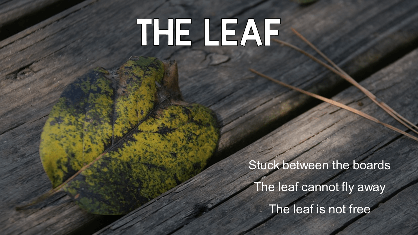 This is a sample haiku about a leaf.