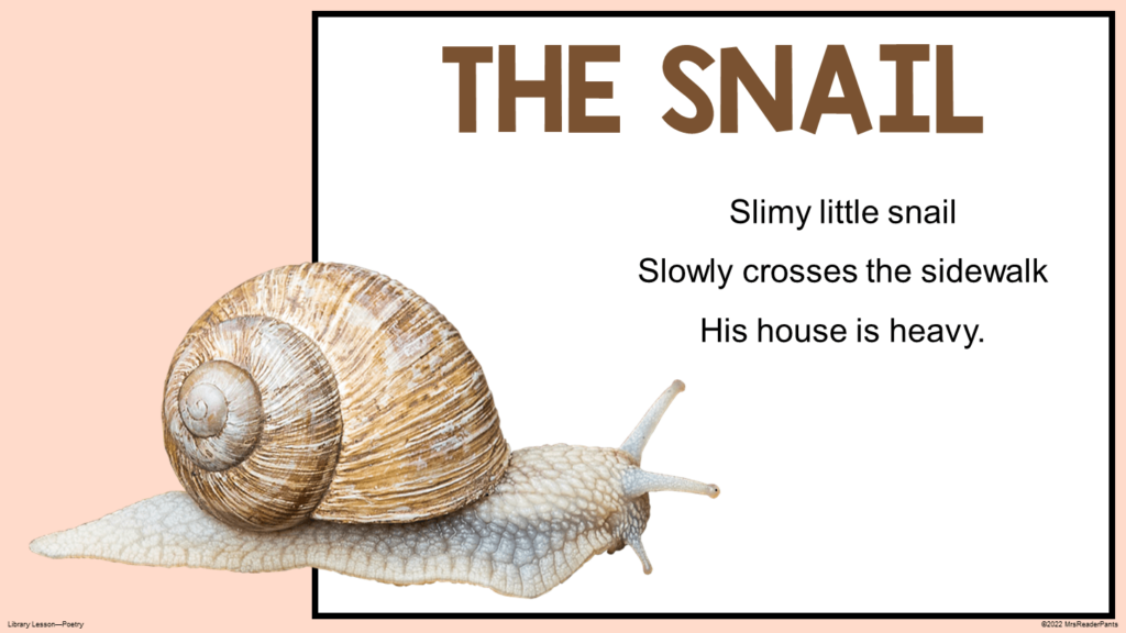 This is a sample haiku about a snail.