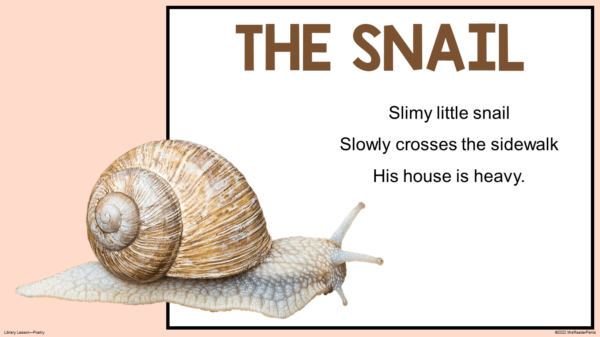 This is a haiku writing sample poem about a snail.