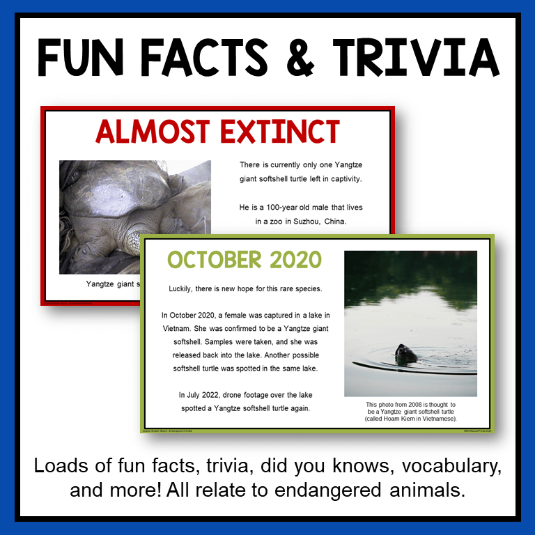 This Earth Day Digital Bulletin Board includes fun facts and trivia questions.