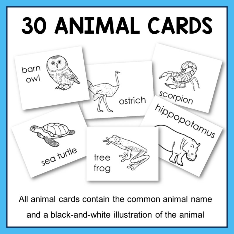 This Dewey Decimal System Activity is perfect for upper-elementary libraries! Includes presentation, 30 animal cards, and detailed lesson plans.