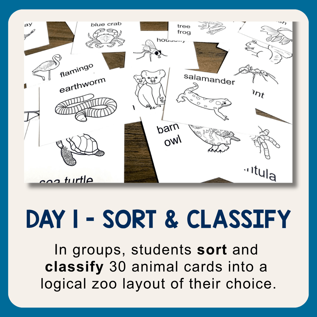 This Dewey Decimal System Activity is perfect for upper-elementary libraries! Includes presentation, 30 animal cards, and detailed lesson plans.