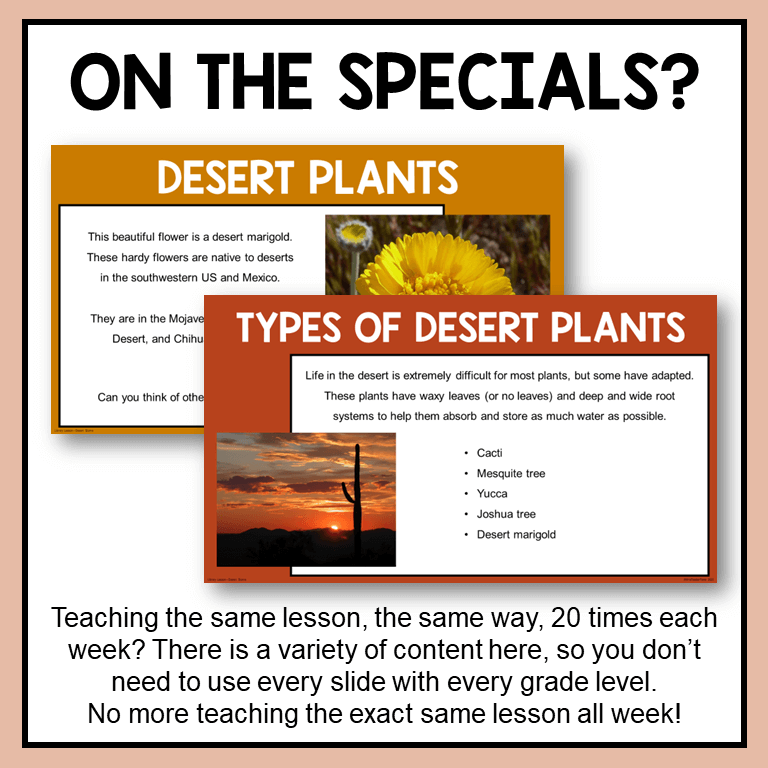 This Desert Biome Library Lesson is great for elementary librarians on the specials rotation.