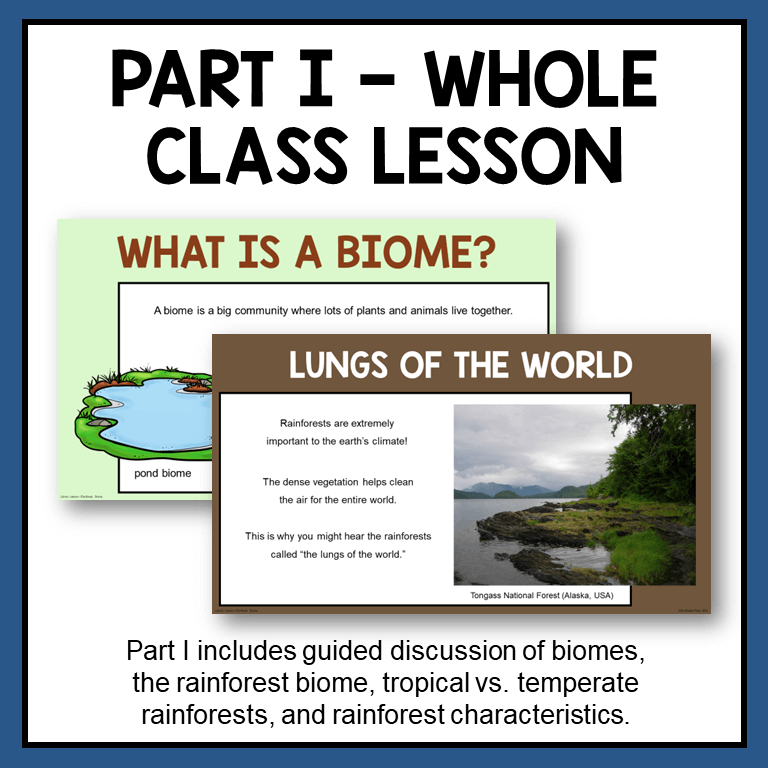 This Rainforest Biome Lesson is for Grades 3-6. It's perfect for school libraries and classrooms.