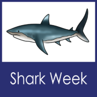Shark Week - Elementary