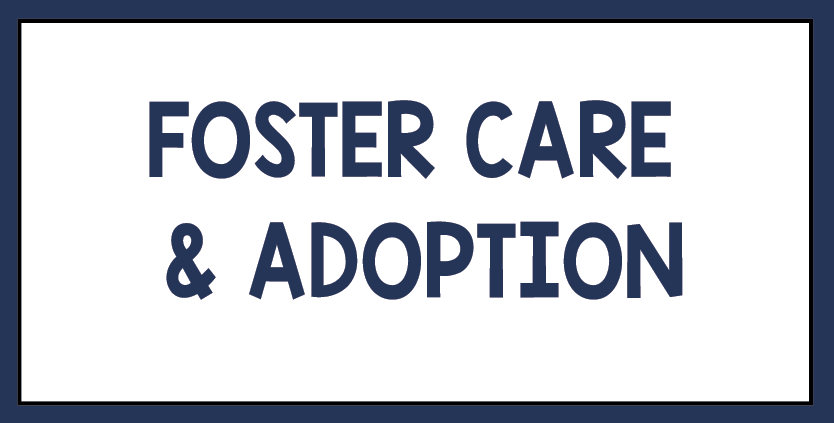 Click here for books with protagonists in foster care or who were adopted.