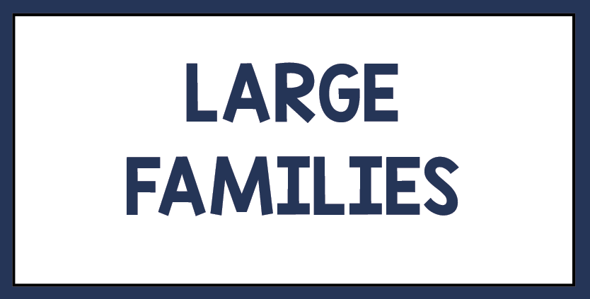 Click here for books about large families.