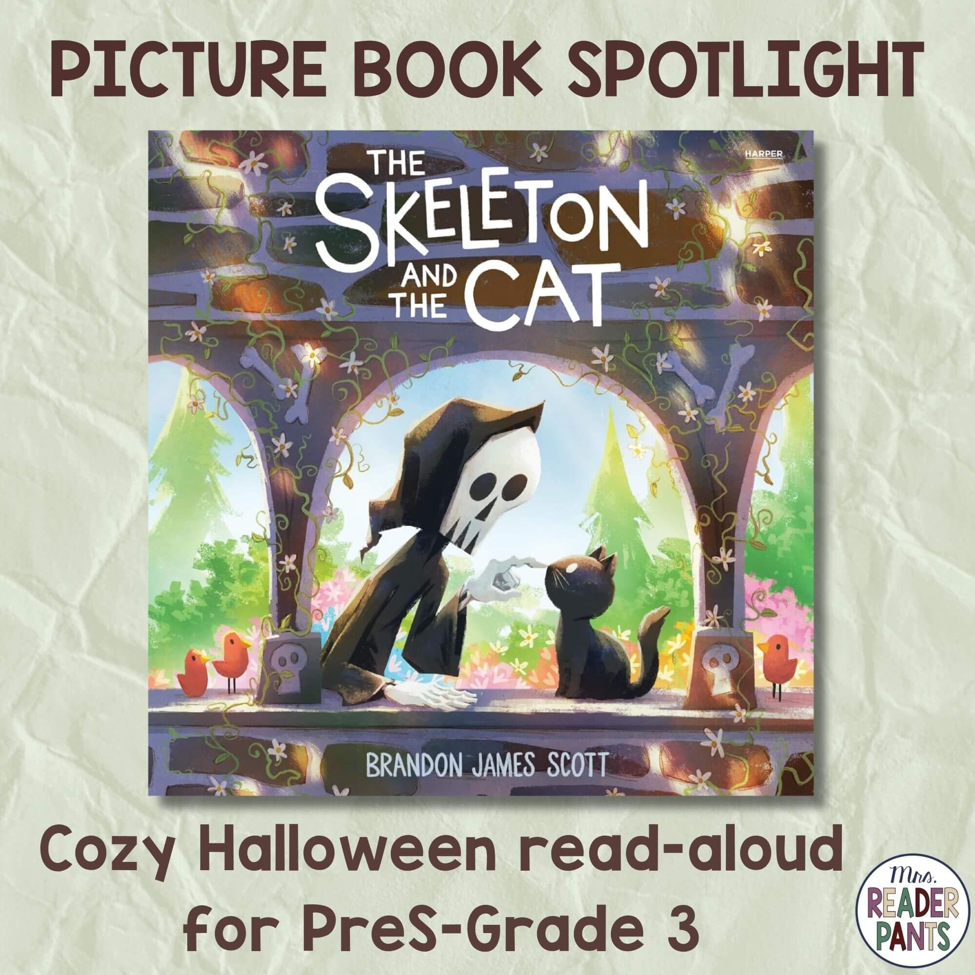 The Skeleton and the Cat is a cozy Halloween